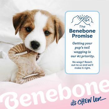 Benebone Puppy Wishbone Dental Chew Dog Toy 2 Pack