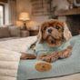 Banbury & Co Rural Retreats Seafoam Corduroy Box Bed Small
