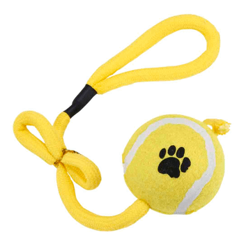 R&R | Tennis Ball On Rope | Interactive pet toy