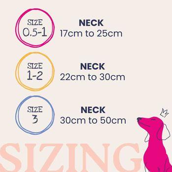 Doodlebone Dinky Dog Collar Blue 1-2