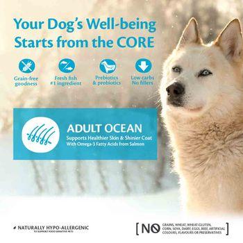 Wellness CORE Dry Dog Food Adult Ocean Salmon with Tuna Recipe 10kg