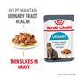 Royal Canin Urinary Care Wet Cat Food in Gravy 48x85g