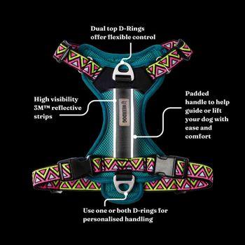 Neerdog Go-B-Bold Airflow Dog Harness-Lantana Medium 