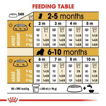 Royal Canin Cavalier King Charles Dry Dog Food 1.5kg