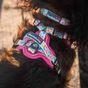 Doodlebone 'With Me' Dog Harness Pink 2-4