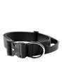 Bully Billows  5cm Combat Collar, Black, Large