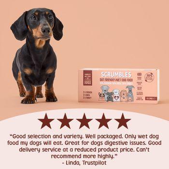 Scrumbles Grain Free Wet Dog Food Meaty Selection 6x395g
