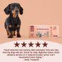 Scrumbles Grain Free Wet Dog Food Meaty Selection 6x395g