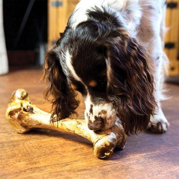 Jr Pet Products Ostrich Bone Dog Treat, 400g