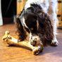 Jr Pet Products Ostrich Bone Dog Treat, 400g