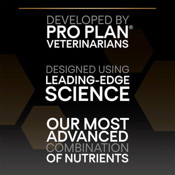 PRO PLAN Medium & Large Senior 7+ Sensitive Skin Salmon Dry Dog Food 14kg