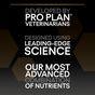 PRO PLAN Medium & Large Senior 7+ Sensitive Skin Salmon Dry Dog Food 14kg