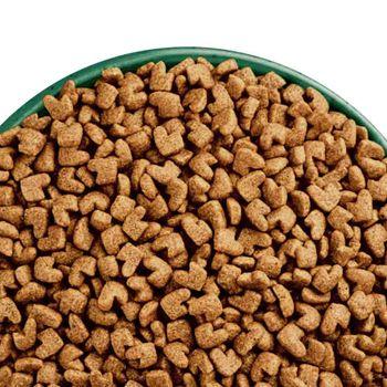 James wellbeloved kitten dry food best sale