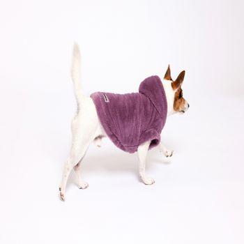 Rufus & Rosie Purple Faux Fur Dog Hoodie, L