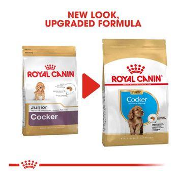 Best dry food for cocker spaniel uk best sale