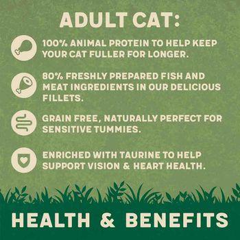 Harringtons Fish In Jelly Wet Cat Food, 12x85g