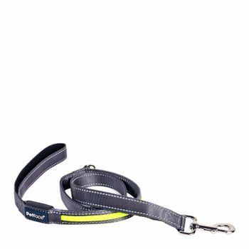 Flashing dog lead sale