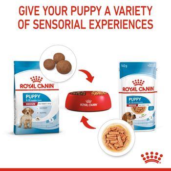 Royal Canin Puppy Medium Breed in Gravy Multipack 48x85g