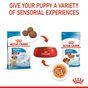 Royal Canin Puppy Medium Breed in Gravy Multipack 48x85g