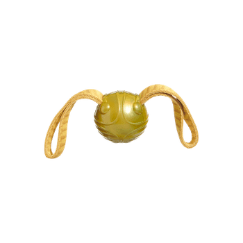 Bark The Golden Snitch Harry Potter Dog Toy