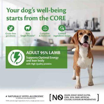 Wellness CORE Wet Dog Food 95% Single Protein Lamb with Pumpkin Recipe 400g