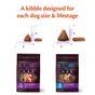 Wellness CORE Dry Puppy Food Original Turkey with Chicken Recipe 1.5kg