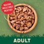 Harringtons Fish In Jelly Wet Cat Food, 12x85g
