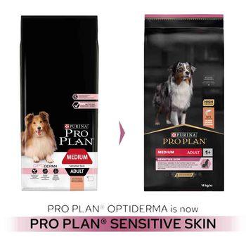 Pro plan sensitive best sale