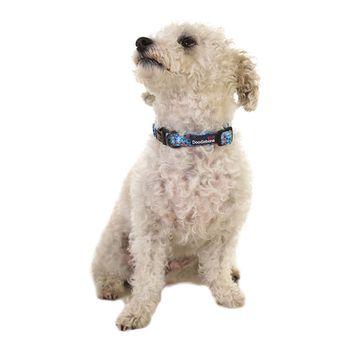 Doodlebone Trendy Tails Padded Dog Collar Blue 3-6