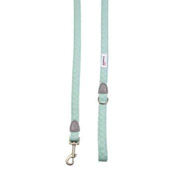 Doodlebone Dinky Dog Lead Mint 15mm