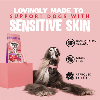 Barking Heads All Hounder Hair Necessities Salmon Dry Dog Food, 12kg