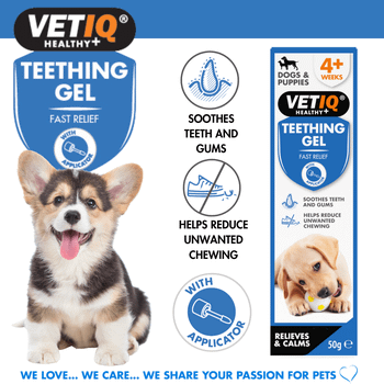 VetIQ Puppy Teething Gel