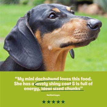 Harringtons Small Adult Dry Dog Food, Lamb 1kg