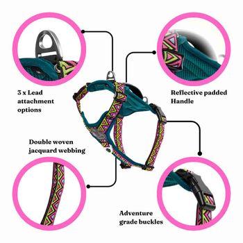 Neerdog Go-B-Bold Airflow Dog Harness-Lantana Small