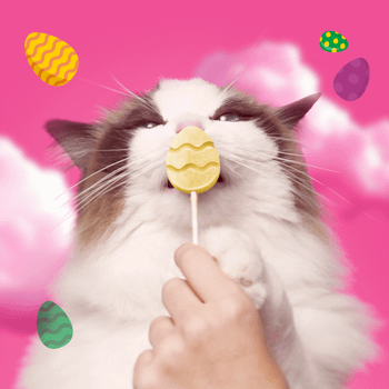 BONKERS Purrpops, Easter Edition Freeze Dried Chicken Flavoured Lollipop Cat Treats, 5 Pieces