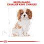 Royal Canin Cavalier King Charles Dry Dog Food 1.5kg