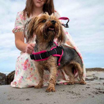 Pink small dog harness best sale