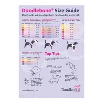 Doodlebone Bold Dog Collar Ruby Leopard 3-6