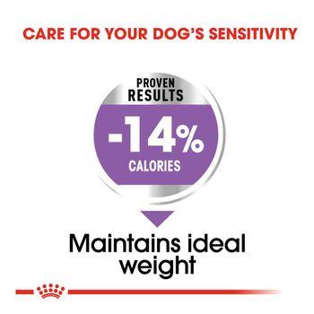 Royal canin mini sterilised adult sales
