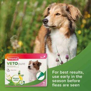 Beaphar VETOpure Plant-Based Protection Flea Spot-On for Dogs under 15 kg, 3 Pipettes