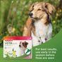Beaphar VETOpure Plant-Based Protection Flea Spot-On for Dogs under 15 kg, 3 Pipettes