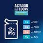 Felix As Good As it Looks Ocean Feasts Wet Cat Food 12x85g