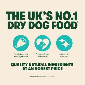 Harringtons Complete Dry Puppy Food, Turkey & Rice 1.7KG