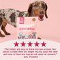 Scrumbles Softies Training Treats for Dogs Salmon 90g