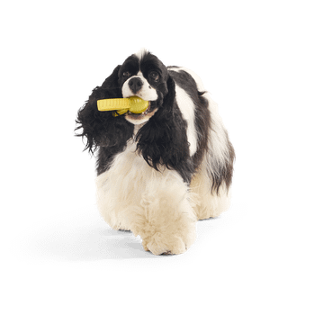 Bark The Golden Snitch Harry Potter Dog Toy