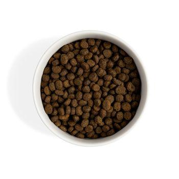 Within Adult & Senior Dry Dog Food Salmon 2kg