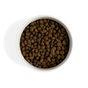 Within Adult & Senior Dry Dog Food Salmon 2kg