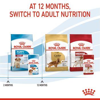 Royal Canin Puppy Medium Breed in Gravy Multipack 48x85g