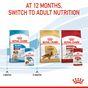 Royal Canin Puppy Medium Breed in Gravy Multipack 48x85g