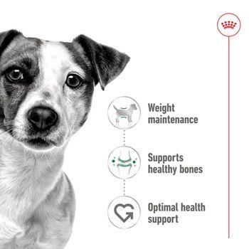 Royal Canin Adult Dog Small Breed in Gravy 48x85g